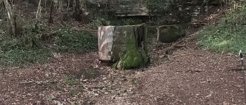 Point d'intérêt Plombières-lès-Dijon - Source-de-la-Fontenotte - Photo