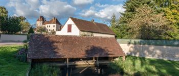 Point d'intérêt Senonches - Senonches, au départ de 4 Traversées Percheronnes - Photo