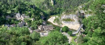 Point d'intérêt Gorges du Tarn Causses - St Chely du Tarn - Photo