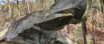 Point of interest Fontainebleau - Megatherium - Photo