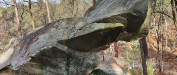 Point d'intérêt Fontainebleau - Megatherium - Photo