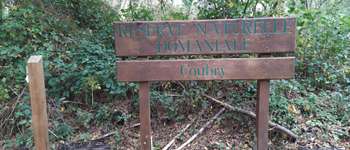 Point of interest Gedinne - Unnamed POI - Photo