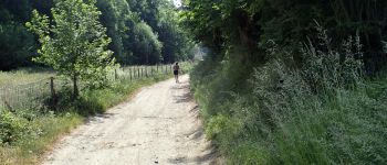 POI Grez-Doiceau - Différentes vues le long du Chemin du Ry d'Hèze*** - Photo