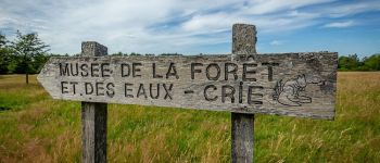 Point d'intérêt Spa - Musée de la Forêt et des Eaux - Photo