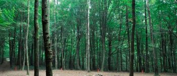 Punto de interés Momignies - Aire de bivouac du Nouveau Monde - Photo