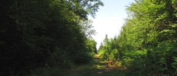 Point d'intérêt Lacroix-Saint-Ouen - départ et arrivée - Photo