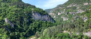 POI Gorges du Tarn Causses - face à Pougnadoires - Photo