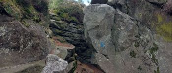 Point d'intérêt Fontainebleau - D - Photo