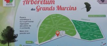 Punto di interesse Arcon - Arboretum des Grands Murcins - Photo