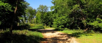 Point d'intérêt Trosly-Breuil - Point 18 - Photo