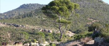 Punto de interés Carqueiranne - fort de la colle noire - Photo