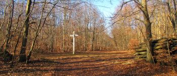 Point d'intérêt Saint-Jean-aux-Bois - Point 14 - Photo