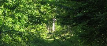 Point d'intérêt Vieux-Moulin - Point 9 - Photo