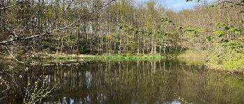 Point d'intérêt Notre-Dame-de-Boisset - Etang Briais - Photo