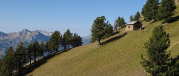 Point d'intérêt Jausiers - Cabane de Costebelle - Photo