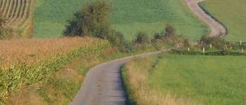 Punto de interés Beauraing - Beauraing walking map (Pondrôme) - Photo