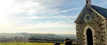 Punto de interés Orée-d'Anjou - Chapelle des Galloires, vue sur la Loire - Photo