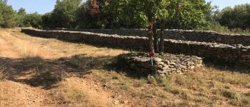 Point of interest Conques-sur-Orbiel - Murailles d_aribaud - Photo