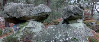 Point of interest Fontainebleau - Unnamed POI - Photo