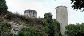 Punto de interés Échiré - Château du Coudray-Salbart - Photo