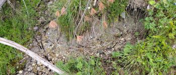 Punto di interesse Ceillac - Unnamed POI - Photo