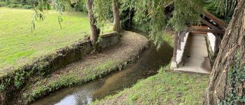 Point d'intérêt Morlaàs - Lavoir - Photo