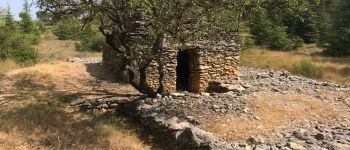 Punto de interés Conques-sur-Orbiel - Capitelle 24 (La mignarda) - Photo