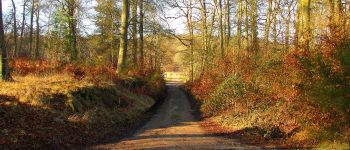 Punto de interés Vieux-Moulin - Départ et Arrivée - Photo