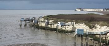 Punto de interés Barzan - Point de vue sur l'estuaire et les carrelets - Photo