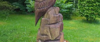 Point d'intérêt Consdorf - Statue en bois - Hibou - Photo