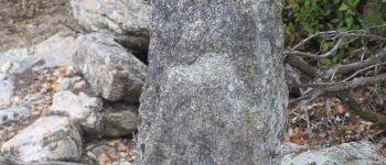 Point d'intérêt Feilluns - dolmen Roc de l'Arque - Photo