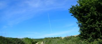 POI Beauvechain - Vue nord-ouest dans la Rue de la Chapelle Saint-Cornélis - Photo