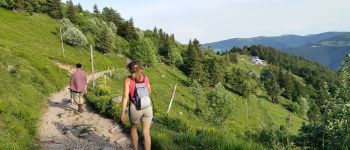 POI Metzeral - Chemin vers la ferme auberge Schiessroth - Photo