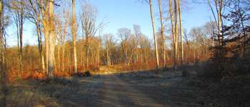 Point d'intérêt Saint-Jean-aux-Bois - Point 19 - Photo