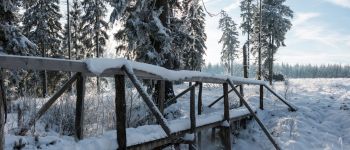 Punto de interés Baelen - Ruisseau du Petit Bonheur - Photo