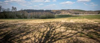 Point d'intérêt Ottignies-Louvain-la-Neuve - Point de vue - Photo