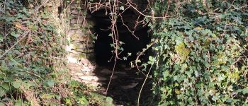 Point d'intérêt Plombières-lès-Dijon - Fontaine-Fontenotte - Photo