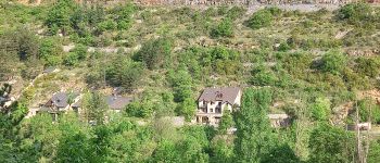Point d'intérêt Gorges du Tarn Causses - Fourche route-sentier - Photo