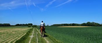 Punto di interesse Beauvechain - Vue ouest dans la Rue Jules Coisman - Photo