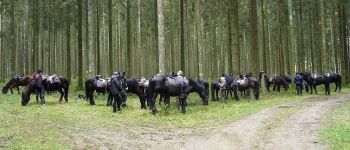 Punto di interesse La Roche-en-Ardenne - Villa les Olivettes - Photo