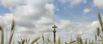 Point d'intérêt Rouvroy - croix des aisements - Photo