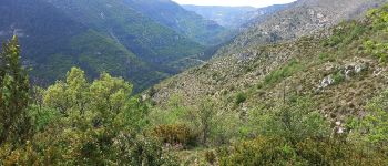 Point d'intérêt Gorges du Tarn Causses - Tonnas - Photo