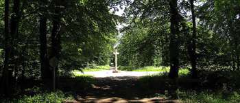 Point d'intérêt Saint-Crépin-aux-Bois - Point 16 - Photo