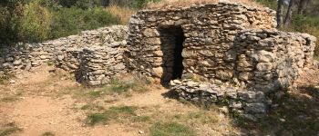 POI Conques-sur-Orbiel - Capitelle 20 - Photo