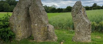 Point of interest Durbuy - Menhirs d'Oppagne - Photo