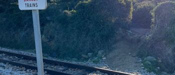 Point d'intérêt Corbara - Passage voie ferrée  - Photo