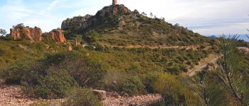 Point d'intérêt Fréjus - tour de gué  - Photo