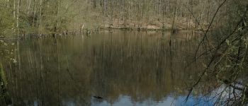 Punto di interesse Braine-Le-Comte - IMG_20210411_155821 - Photo