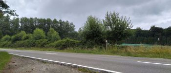 Point d'intérêt Vresse-sur-Semois - Arrivée à la route - Photo
