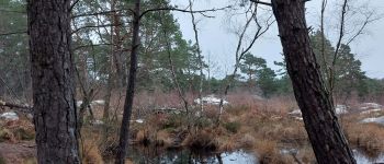 Point d'intérêt Fontainebleau - Mare de Bouligny  - Photo